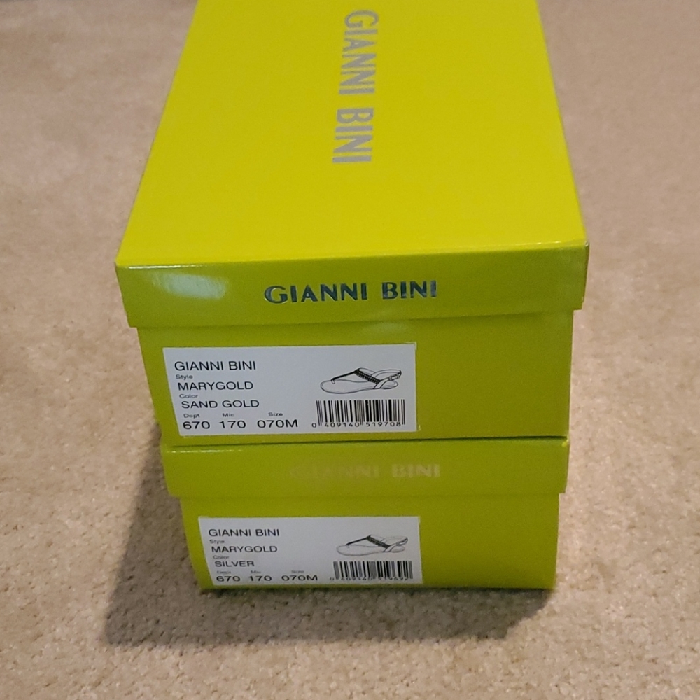 Gianni Bini Sandal Storage Collector Boxes